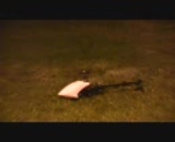 【動画】現実離れした飛行をするラジコンヘリ